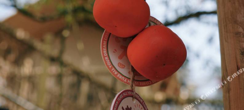 雷洞烟云.星空营地图片