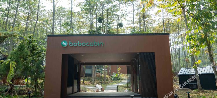 Bobocabin塔维亚庞查克(Bobocabin The Tavia, Puncak)图片