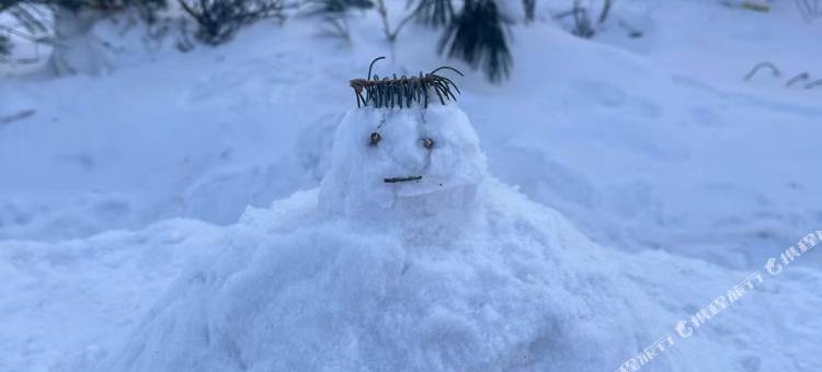 雪乡响歌民宿图片