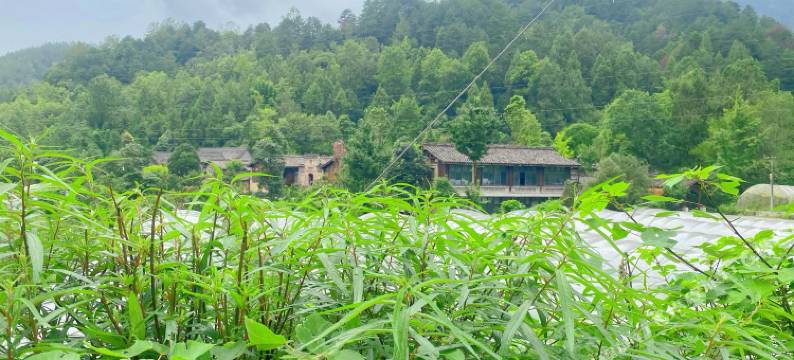 青木川房车营地图片