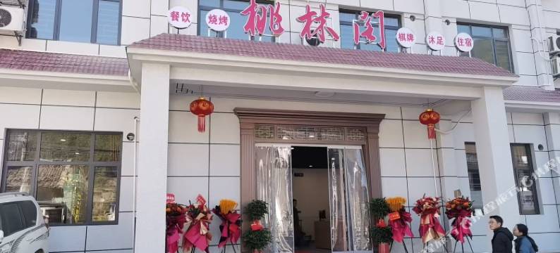 桃林阁民宿图片