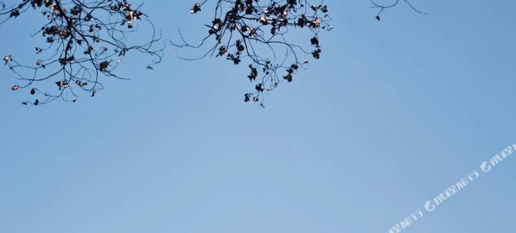 鑫盛精品酒店(萍乡北站萍乡市经济技术开发区武功山咨询中心店)图片