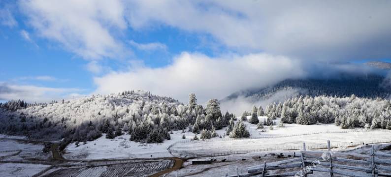 鲁朗福禄·Life度假民宿图片