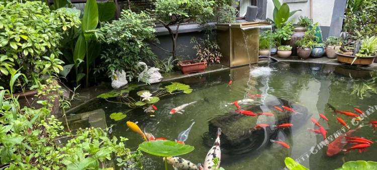 周庄水木私人度假庭院图片