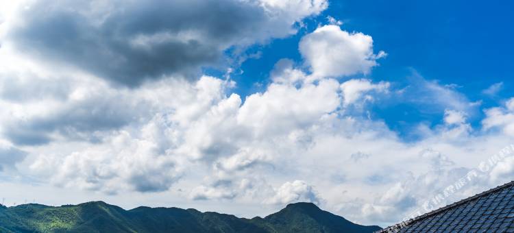 象山花开墙头民宿图片