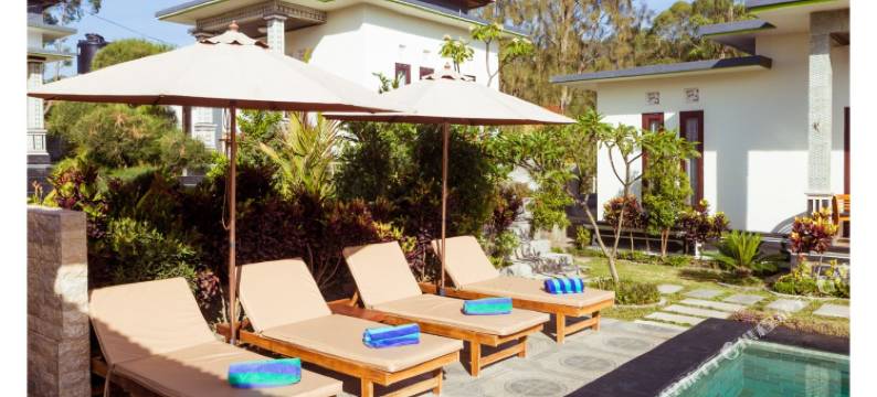 耶姆帕纳别墅酒店(Villa Jempana Kintamani)图片