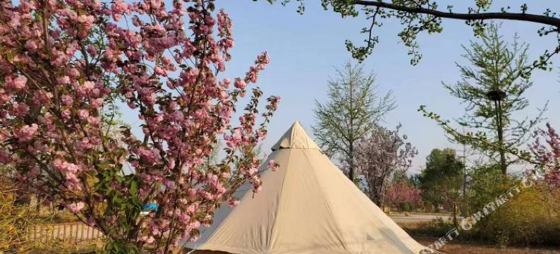 北京铂思爱秾露营基地图片