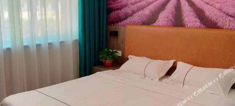 驿家365连锁酒店(内丘扁鹊大道店)图片