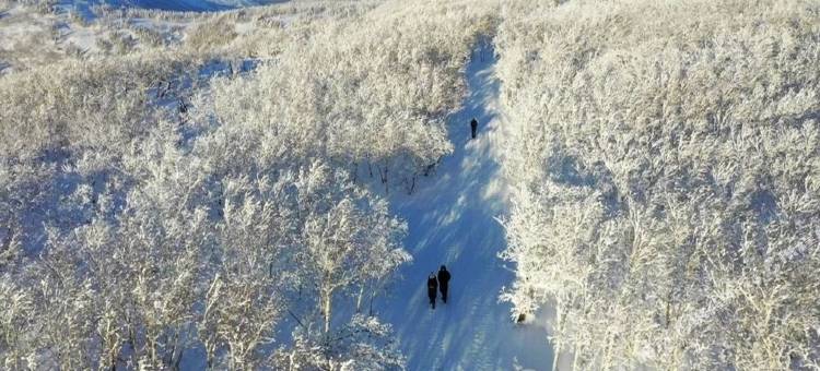 雪乡雪润客栈图片