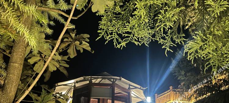 花红似森林酒店图片