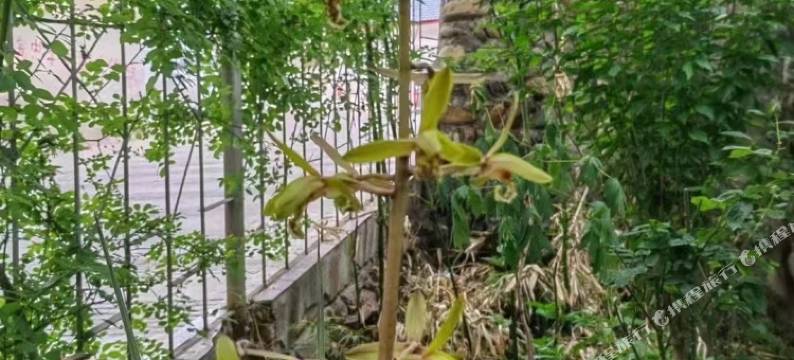 宁强粮食宾馆(广兴街店)图片