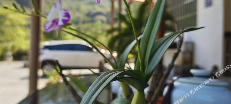 三清山朴子仙居图片