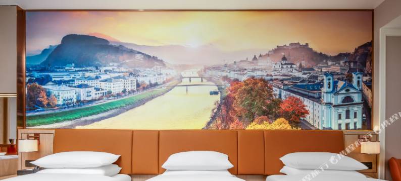 维也纳酒店(重庆大足双桥经开区店)图片