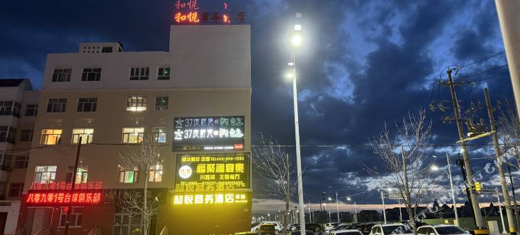 和布克赛尔和悦商务酒店图片