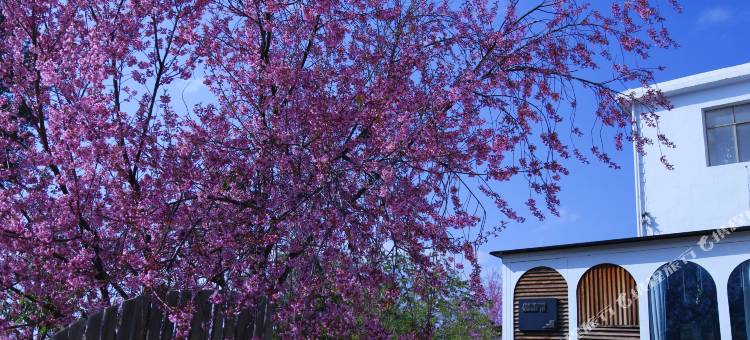 抚仙湖小湾壹号民宿图片