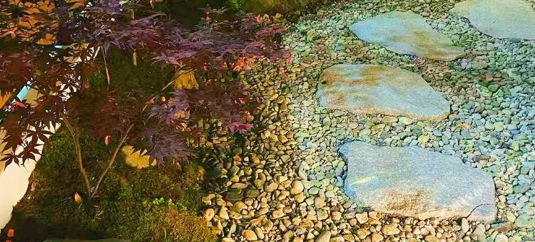 天台山风与月民宿(国清寺景区店)图片