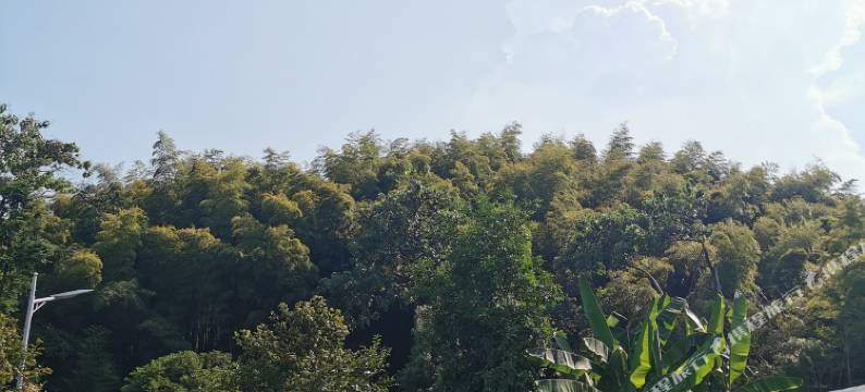 静竹雅苑民宿图片