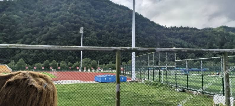 文友居民宿图片