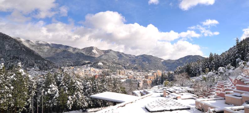 下吕温泉KUSAKABE ArmeriA旅馆(Hotel Kusakabe Armeria)图片