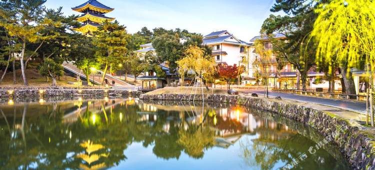 南泥湾酒店(Naniwa Hotel)图片