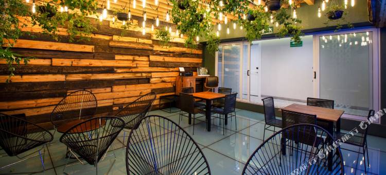 Hotel MX más reforma图片