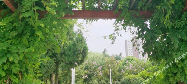 枣庄爱琴海电影主题酒店图片