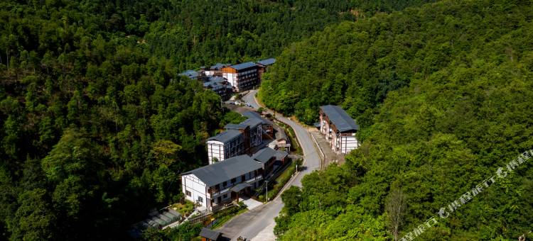 玉林六万森林康养谷酒店(广西六万大山森林公园店)图片