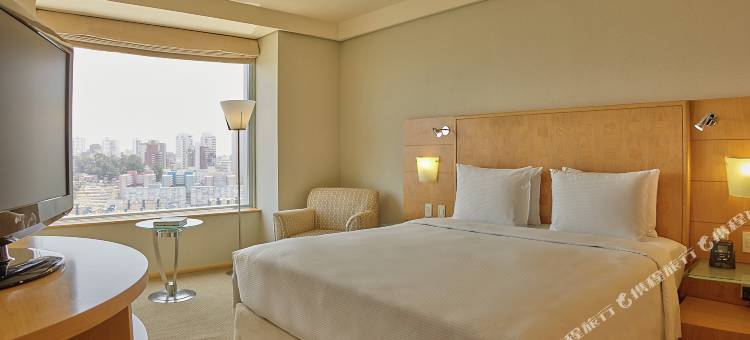 希尔顿圣保罗莫伦比酒店(Hilton Sao Paulo Morumbi)图片