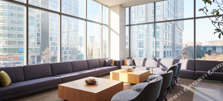 九树帕那斯首尔东大门(NINE TREE BY PARNAS SEOUL DONGDAEMUN)图片