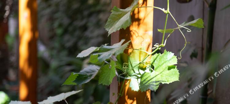 花筑·游途小巷套房民宿(华山景区游客中心店)图片
