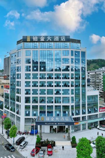 铂金大酒店图片