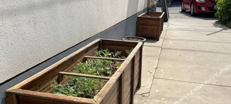 衡水喜来登客栈图片