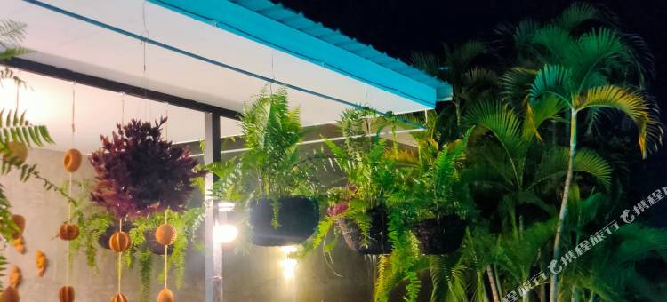 花現清邁民宿(Flora Land Resort Chiang Mai)图片