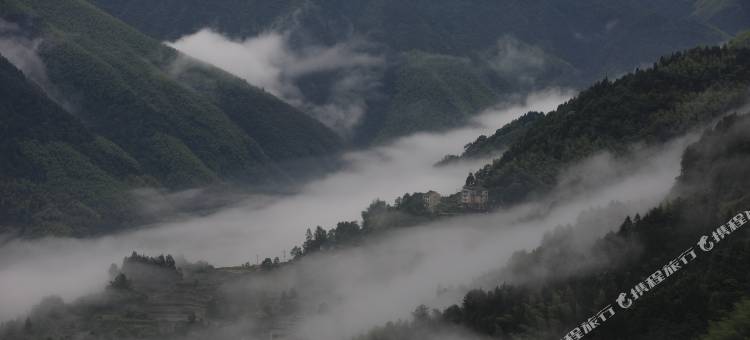 云和梯田茶缘民宿图片