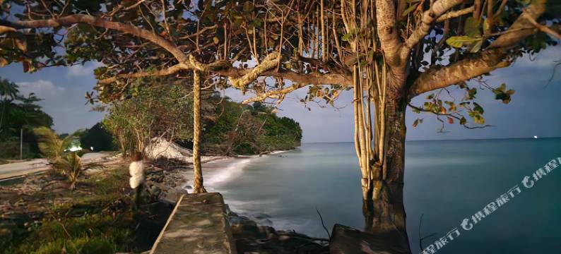 Badungun Seaside View图片