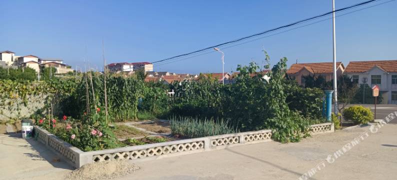 海鸥民宿(荣成成山头店)图片