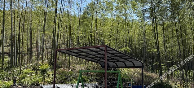 泾县老鲍驿栈图片