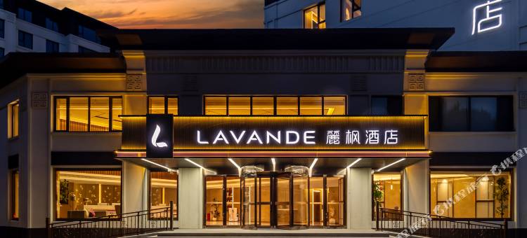 麗枫酒店(铁岭市政府店)图片