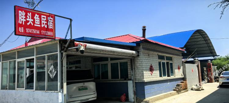 胖头鱼民宿图片