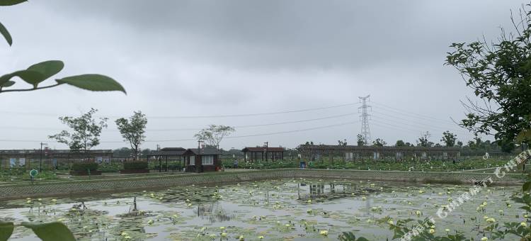 南京森呼吸房车营地图片