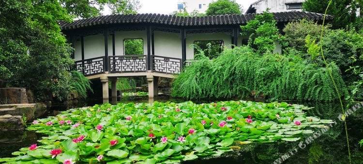 无锡君乐酒店图片