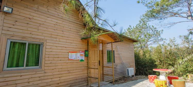 丰顺大宝山林海木屋图片