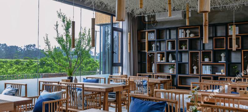 蒲江香樟树夏精品民宿图片