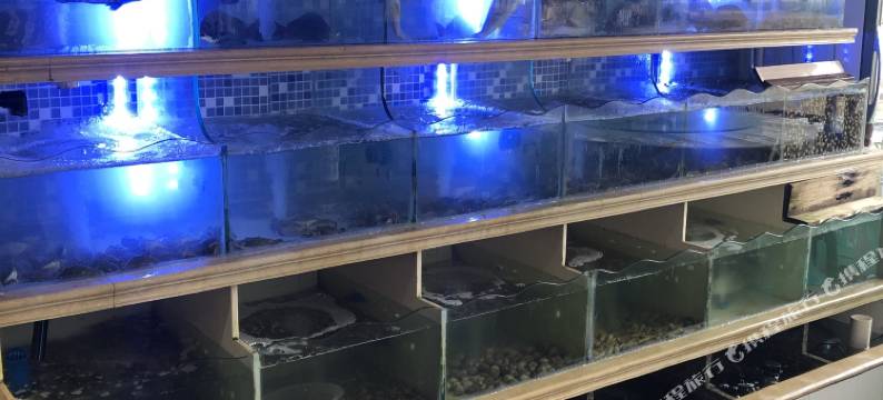 东海渔村民宿(渔寮黄金海岸沙滩店)图片