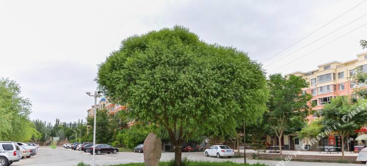 敦煌大漠绿洲公寓图片