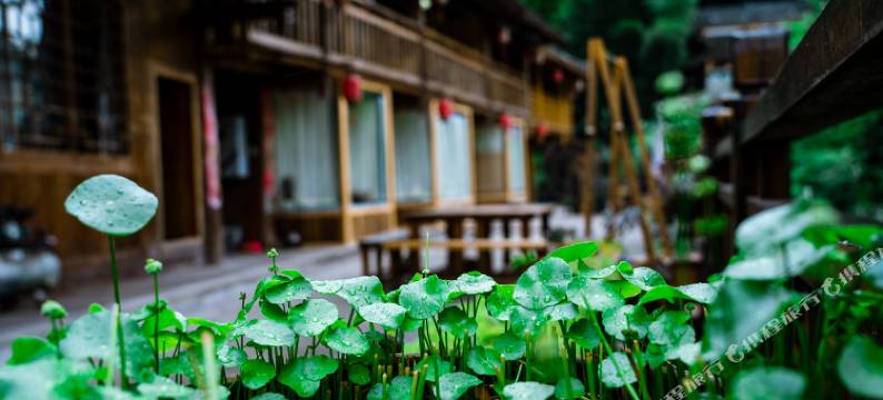 新宁玉龙山庄图片