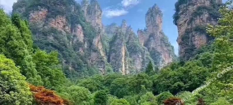 张家界憩舍图片