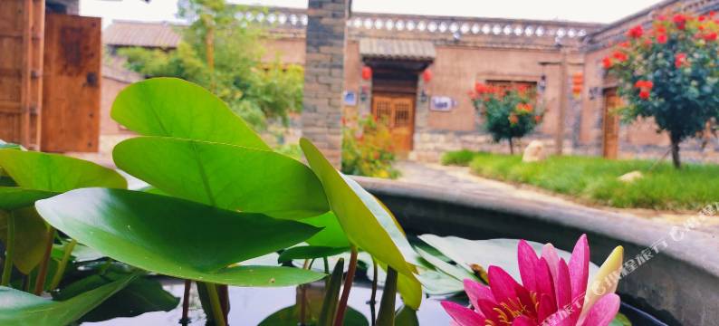 梁山禾颐乡居图片