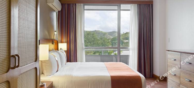 Holiday Inn 泊特莫尔斯比港(Holiday Inn & Suites Port Moresby)图片
