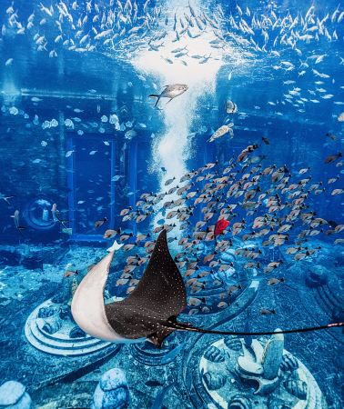 5D4N • China + Hainan + Sanya + Sanya Atlantis Resort + yacht cruise